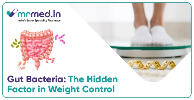 Gut Health and Weight Loss Do Gut Bacteria Play a Role.webp
